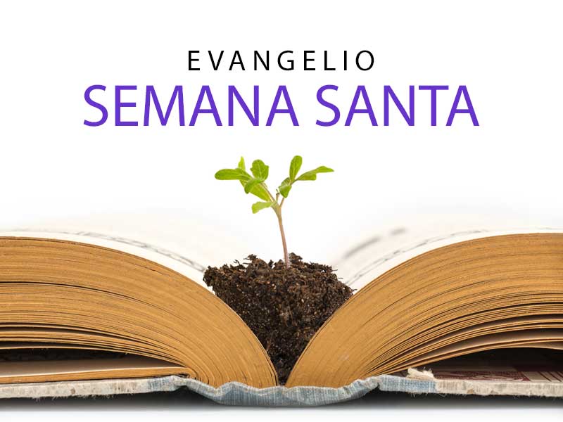 evangelio-semana-santa